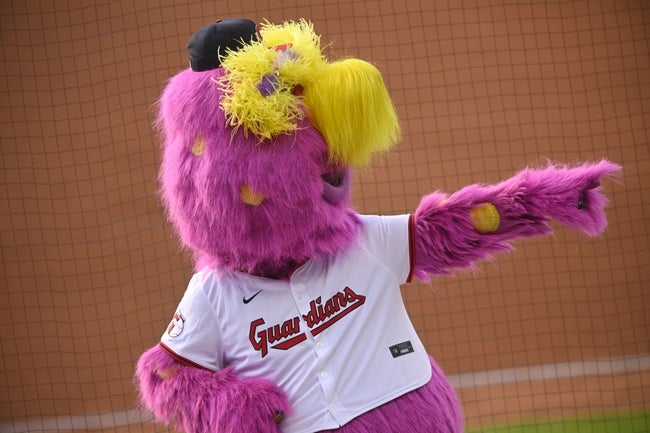 Mascot, Toy, Clothing