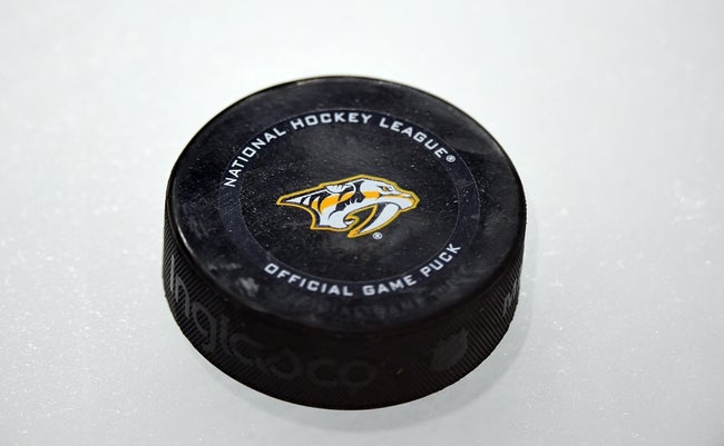 Detroit Red Wings vs Nashville Predators Prediction NHL Picks 10/19/24