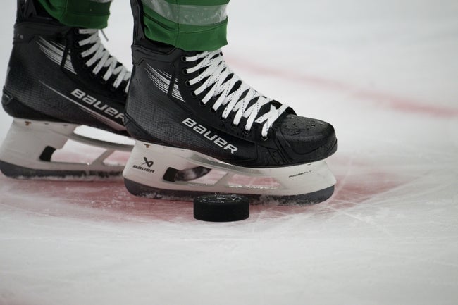 St. Louis Blues vs Dallas Stars Prediction NHL Picks 12/14/24