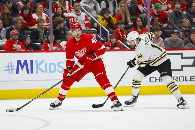 Boston Bruins vs Detroit Red Wings Prediction NHL Picks 11/23/24