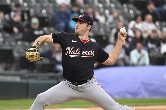 Washington Nationals vs Detroit Tigers Prediction MLB Picks 6/11/24