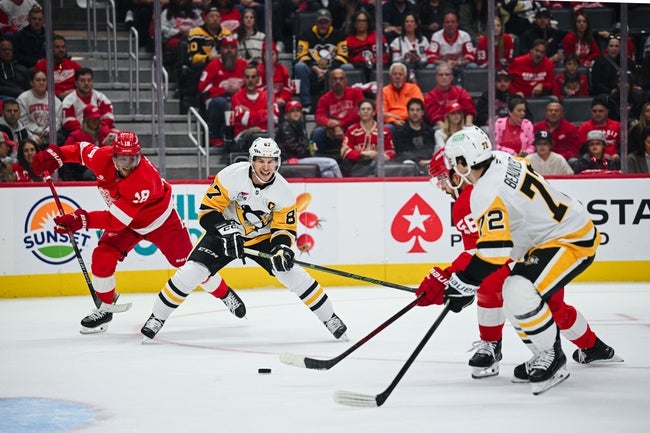 Detroit Red Wings vs Pittsburgh Penguins Prediction NHL Picks 11/13/24