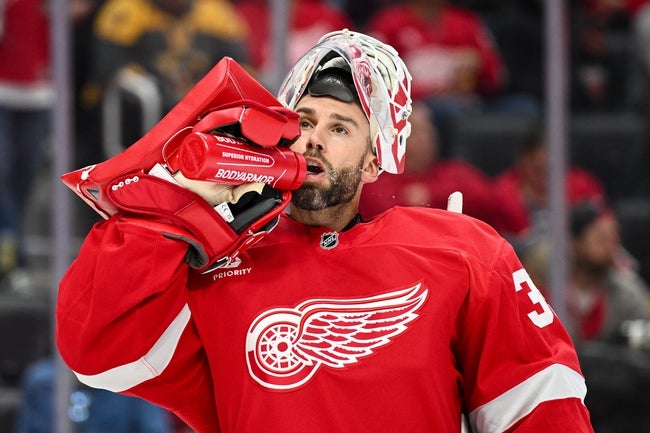 Detroit Red Wings vs New York Rangers Prediction NHL Picks 10/14/24