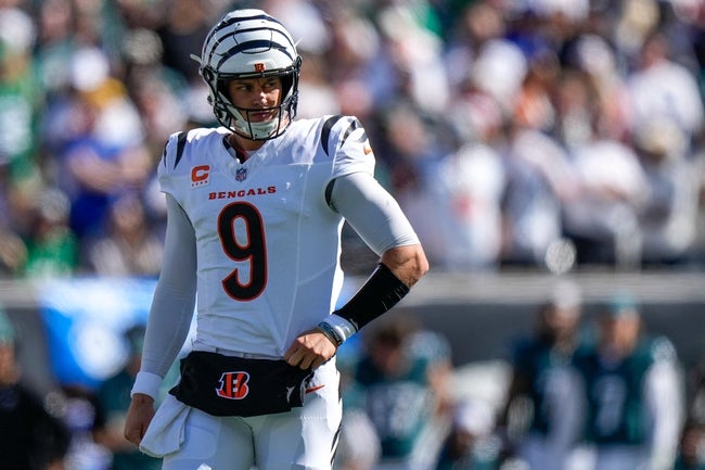 Las Vegas Raiders vs Cincinnati Bengals Prediction NFL Picks 11/3/24