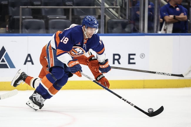New York Islanders vs Columbus Blue Jackets Prediction NHL Picks 10/30/24