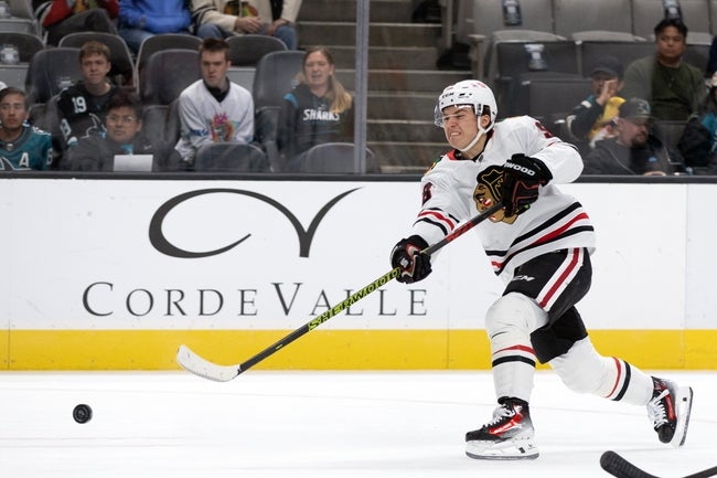 Chicago Blackhawks vs Anaheim Ducks Prediction NHL Picks 11/3/24