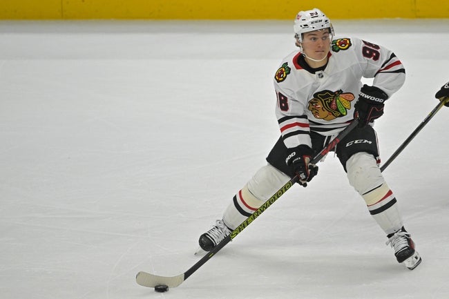 Detroit Red Wings vs Chicago Blackhawks Prediction NHL Picks 11/6/24