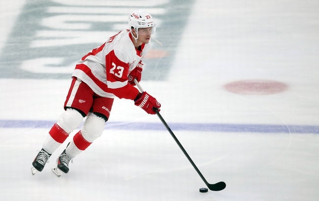 Calgary Flames vs Detroit Red Wings Prediction NHL Picks 11/27/24
