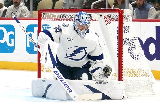 Dallas Stars vs Tampa Bay Lightning Prediction NHL Picks 11/23/24