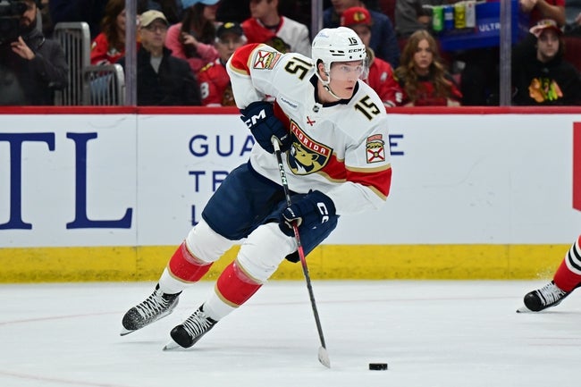 Carolina Hurricanes vs Florida Panthers Prediction NHL Picks 11/30/24