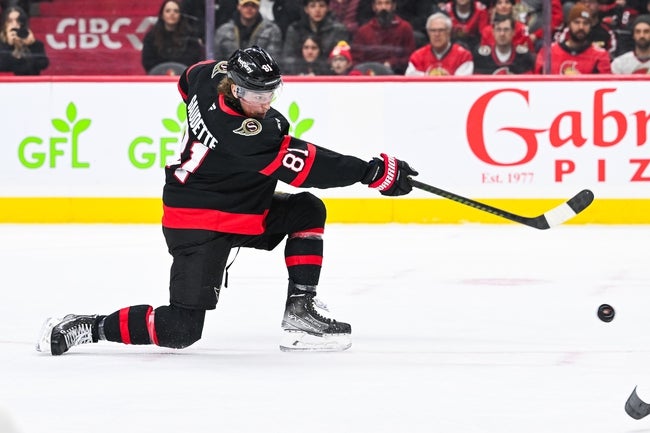 Anaheim Ducks vs Ottawa Senators Prediction NHL Picks 12/11/24