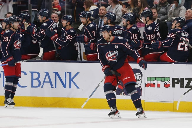 Calgary Flames vs Columbus Blue Jackets Prediction NHL Picks 11/29/24