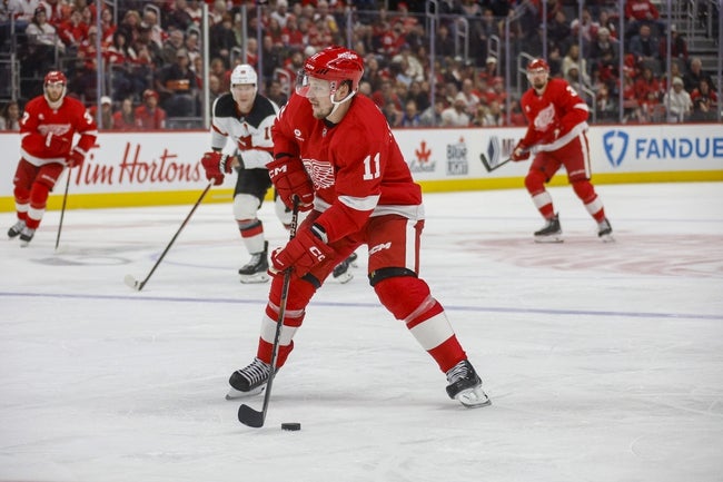 Vancouver Canucks vs Detroit Red Wings Prediction NHL Picks 12/1/24