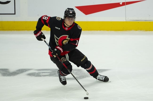 Nashville Predators vs Ottawa Senators Prediction NHL Picks 12/7/24