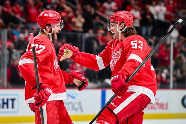 Free NHL Picks For Today, Friday 12/20/2024