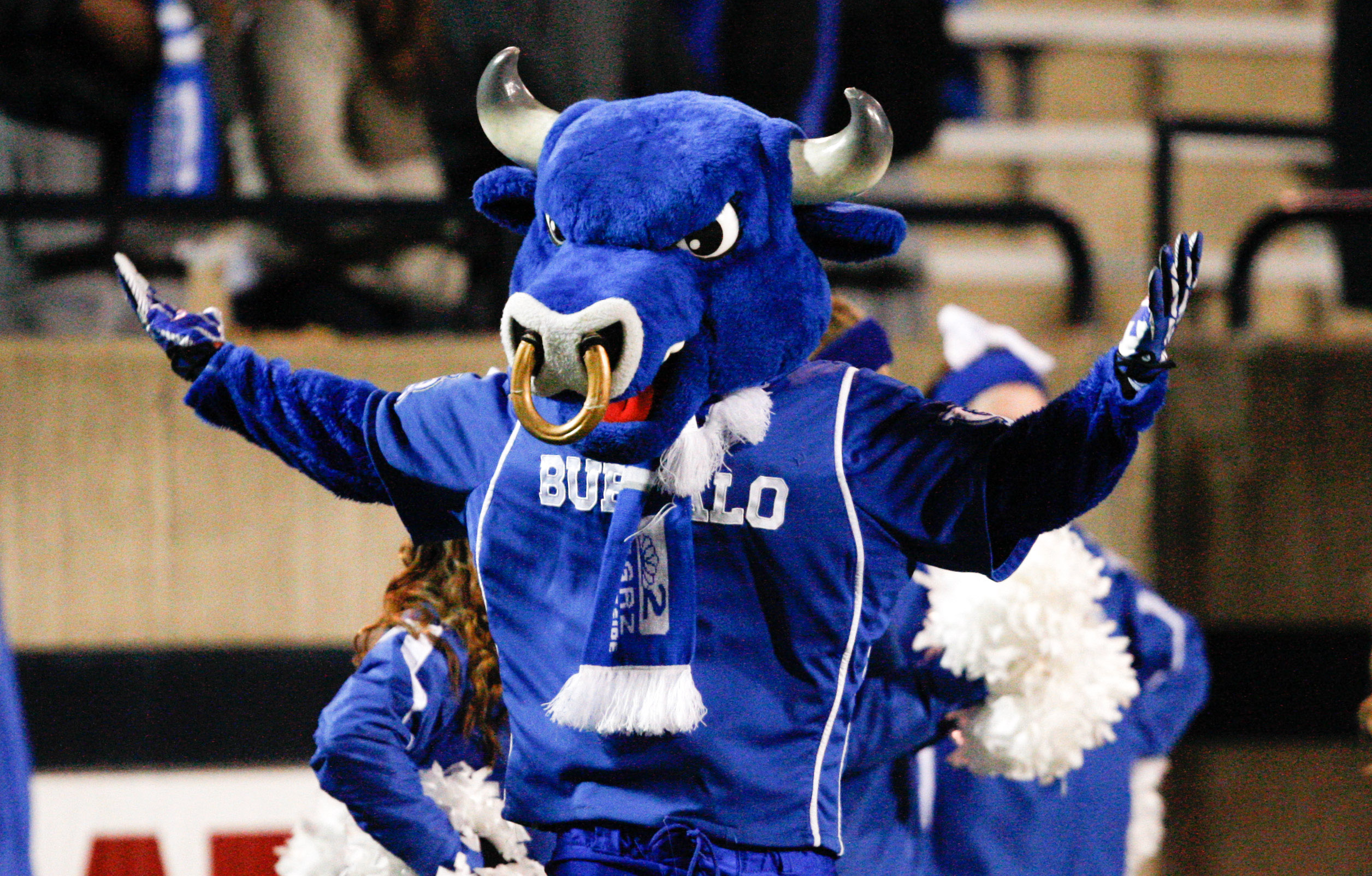 Mascot, Person, Clothing