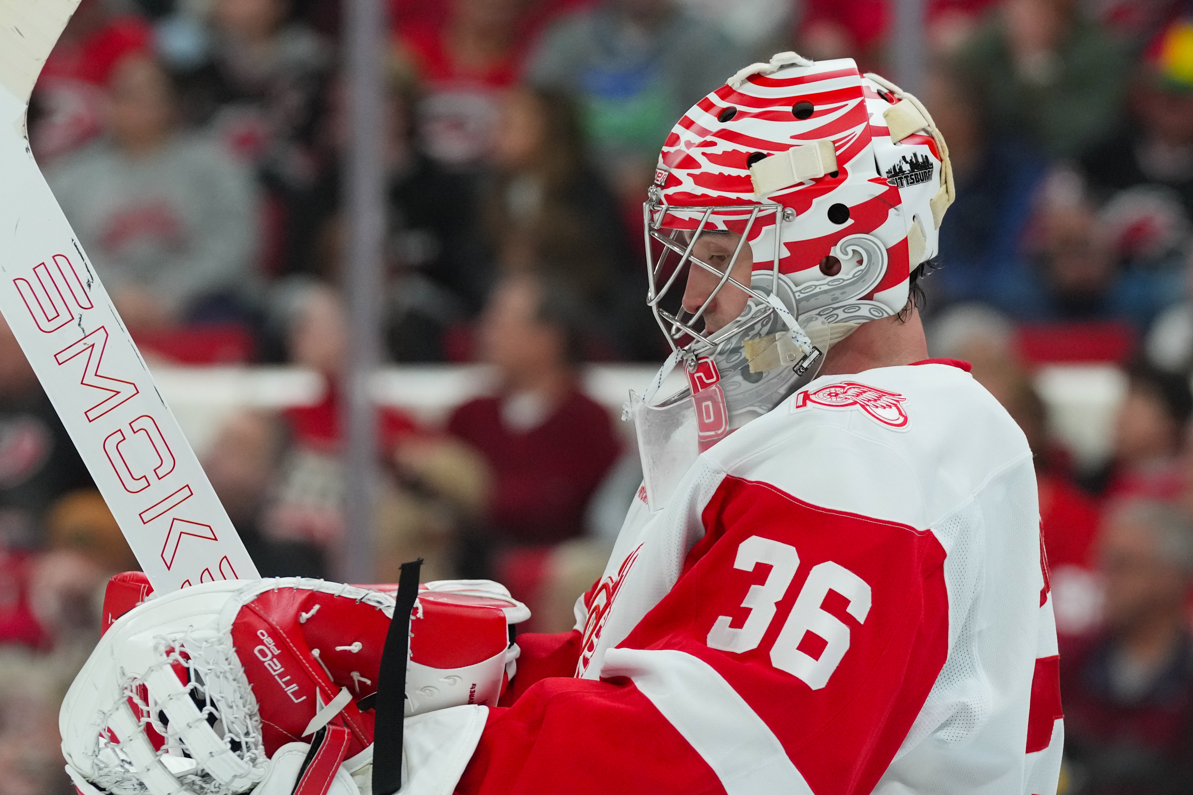 Dec 27, 2025; Raleigh, North Carolina, USA;  Detroit Red Wings goaltender John Gibson (36) looks on against the Carolina Hurricanes during the third period at Lenovo Center. Mandatory Credit: James Guillory-Imagn Images