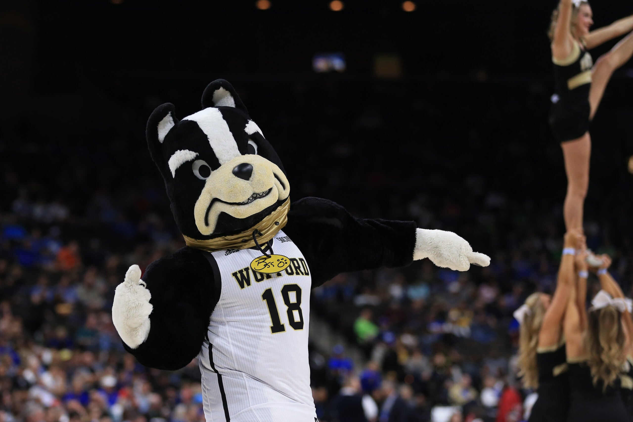 Mar 21, 2019; Jacksonville, FL, USA; Wofford Terriers mascot \"Boss\" and cheerleaders preform on the court during a stoppage in play against the Seton Hall Pirates during the first half in the first round of the 2019 NCAA Tournament at Jacksonville Veterans Memorial Arena. Mandatory Credit: Matt Stamey-Imagn Images