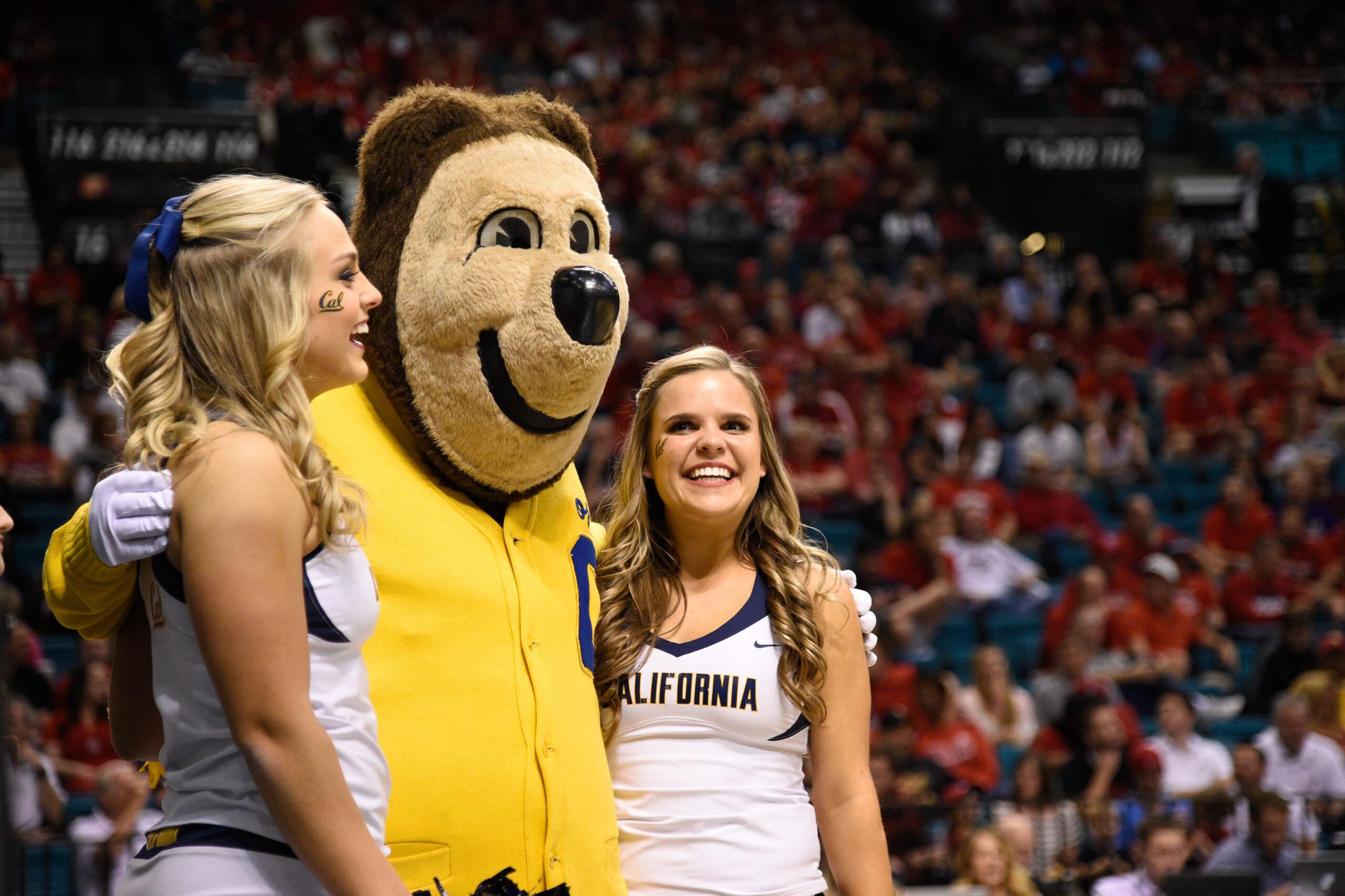 March 12, 2015; Las Vegas, NV, USA; California Golden Bears mascot and cheerleaders perform during the first half in the quarterfinal round of the Pac-12 Conference tournament against the Arizona Wildcats at MGM Grand Garden Arena. Mandatory Credit: Kyle Terada-Imagn Images